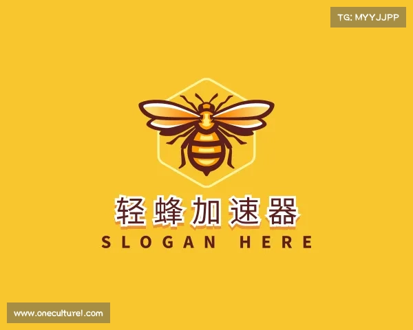 解读轻蜂加速器